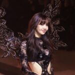 Para penggemar menilai bahwa harga tiket fan meetup Lisa BLACKPINK di Jakarta "selangit". Sementara itu, pihak promotor mengklaim bahwa harga yang ditetapkan sudah berdasarkan kesepakatan bersama dengan agensi Lisa.